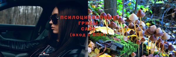 бутират Заводоуковск