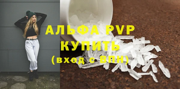 молекула духа Елизово