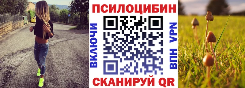 Галлюциногенные грибы Psilocybe  купить наркоту  blacksprut tor  Серпухов 